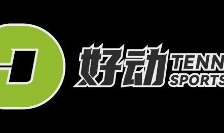 开云-还要继续赢下去吗？24岁的辛纳 地表最强00后